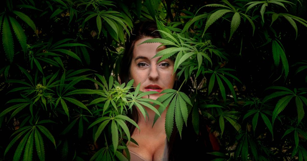 The CBD Oil Buyer’s Guide: The Most Important Things Health-Conscious People Should Look for when Buying CBD