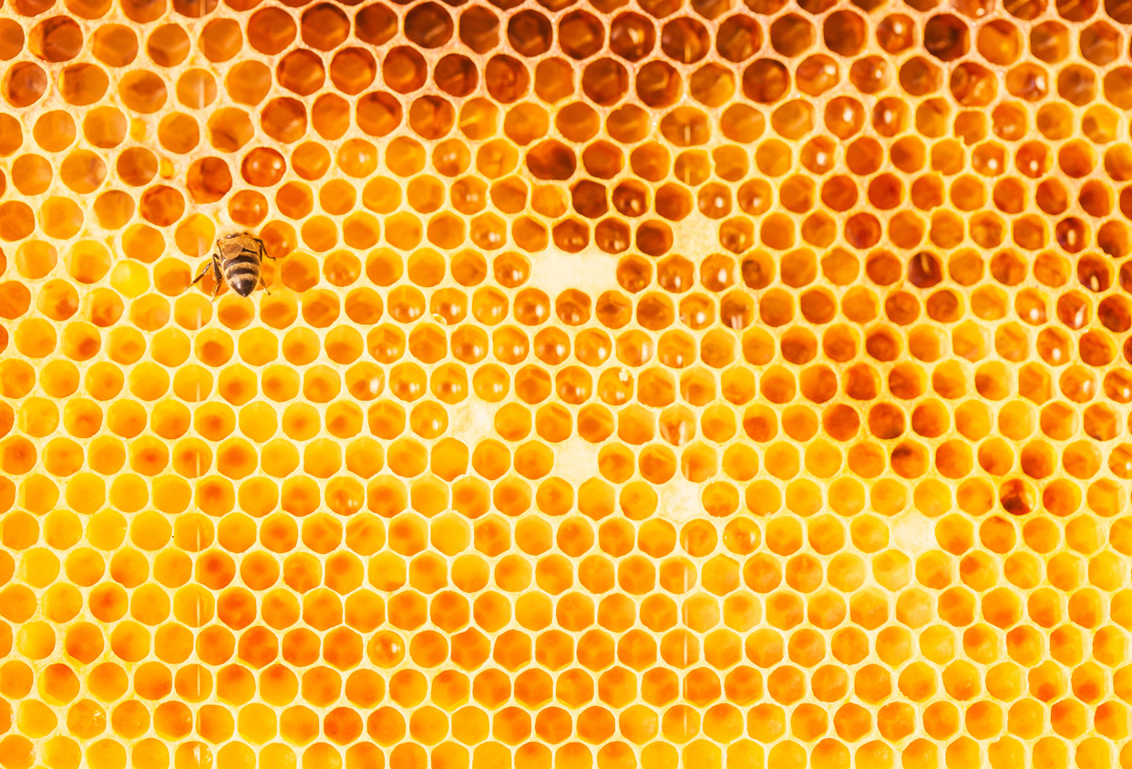 health-benefits-of-raw-honey-pic.jpg