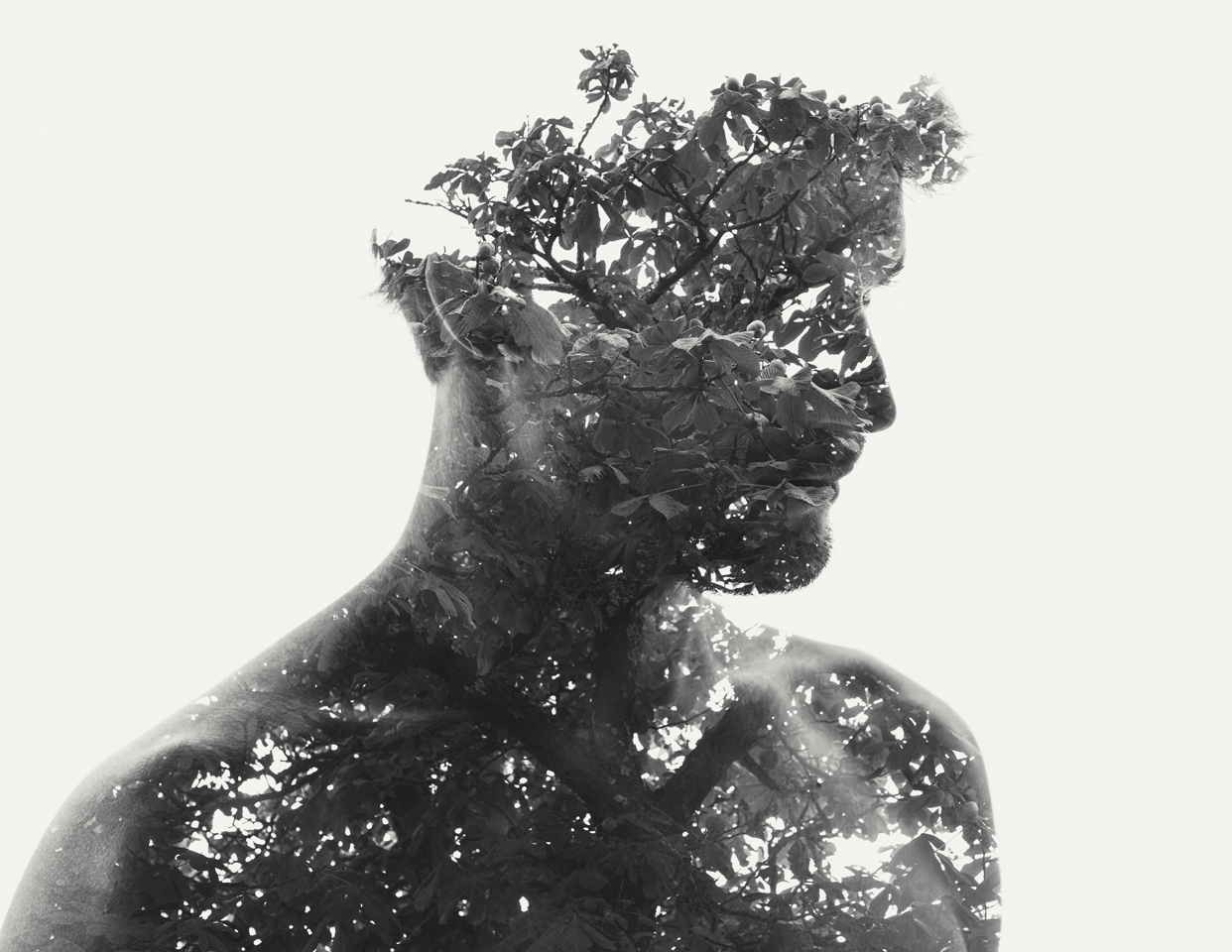 Chestnut-Christoffer-Relander