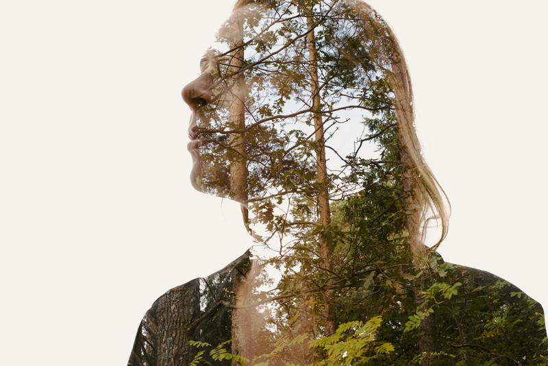 Late-Autumn-Christoffer-Relander