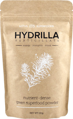 Hydrilla-Verticillata-green-superfood-powder