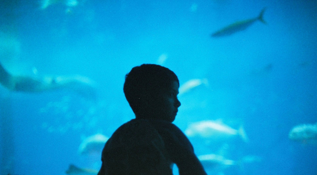 letting-go-of-fear-underwater