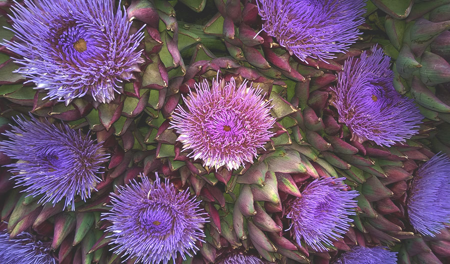 artichoke-liver-cleansing-food