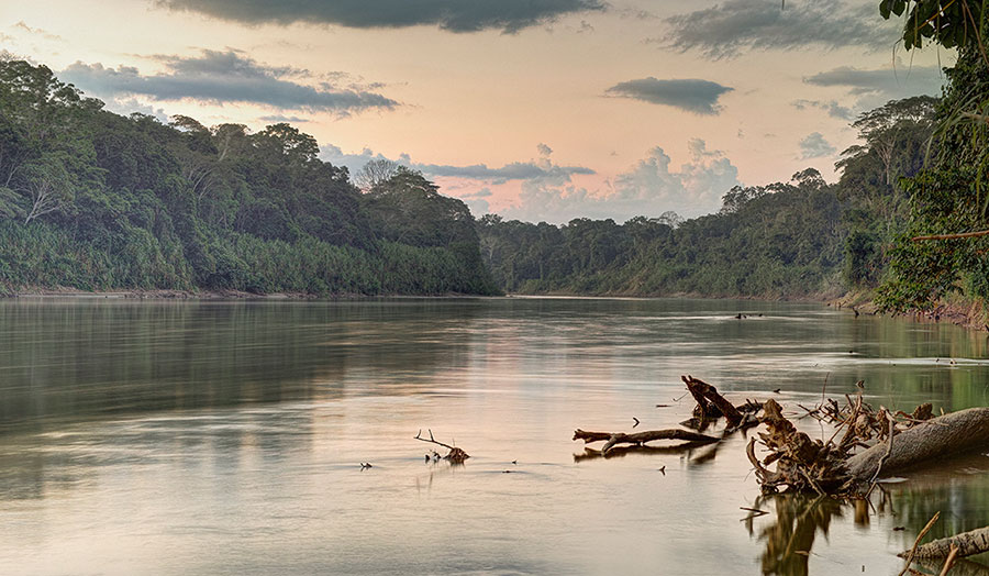 ayahuasca-experience-in-the-amazon-rainforest-peru