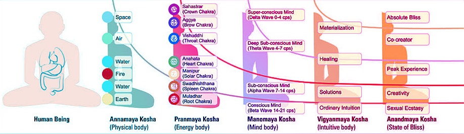 Energy Anatomy Chart