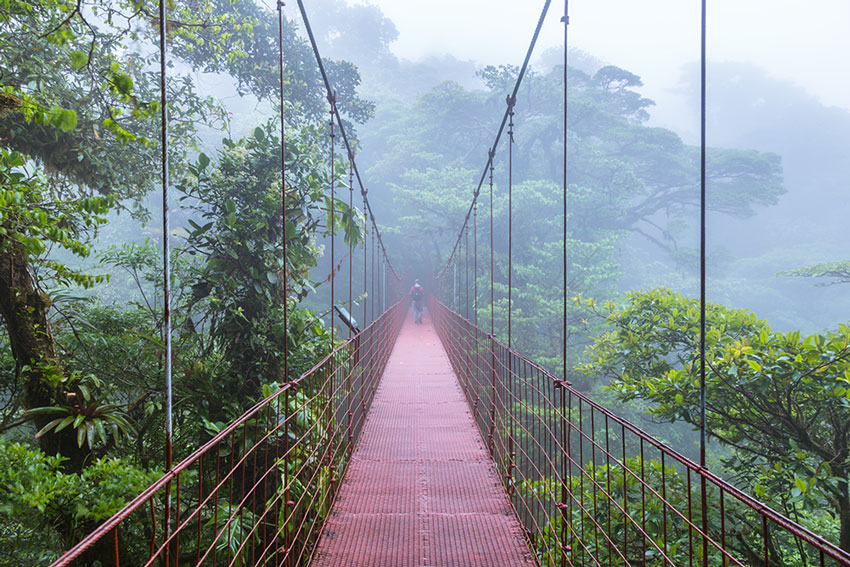 destinations-costa-rica-montverde-cloud-forest