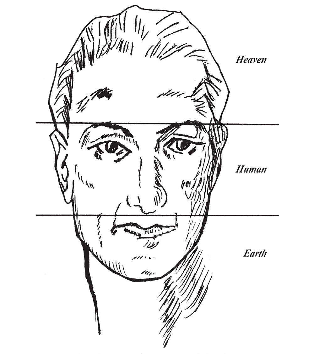 Chinese Medicine Face Reading Chart