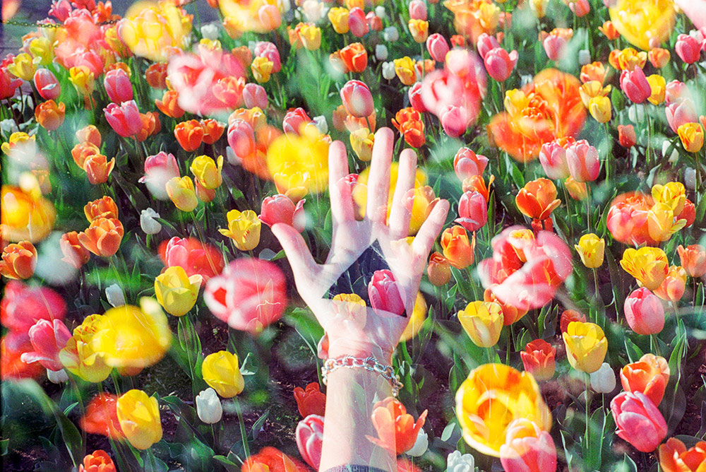 lucid-dreaming-techniques-flowers-hand-awaken