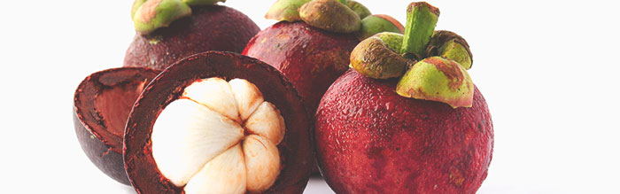 mangosteen