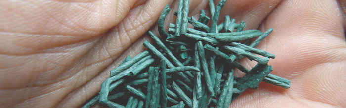 spirulina