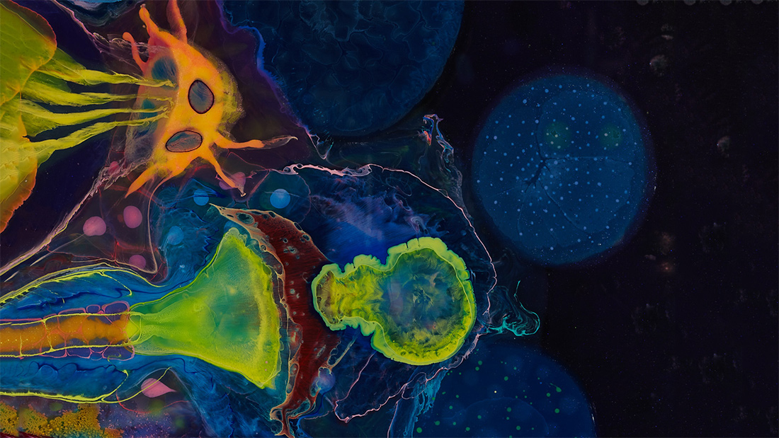 The Brain in Your Belly: How Your Gut Holds the Key to Better Brain Health