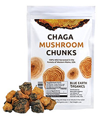 Chaga-Chunks