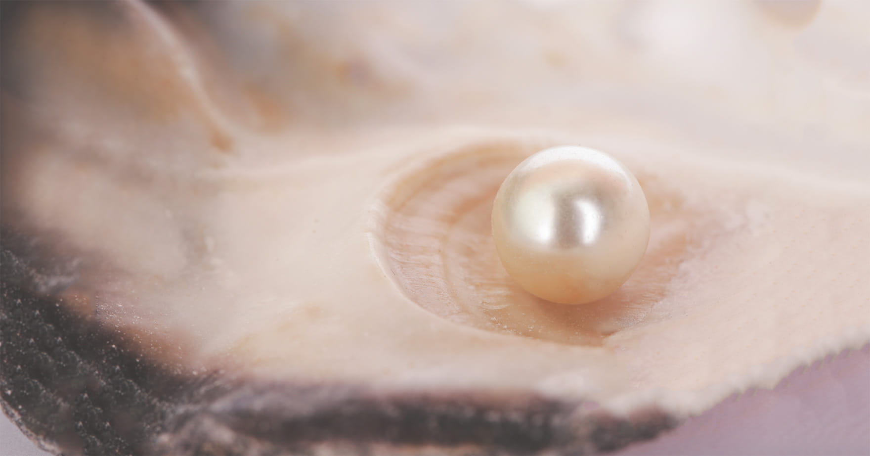 The Health Benefits of Pearl Powder: Superfood From the Sea