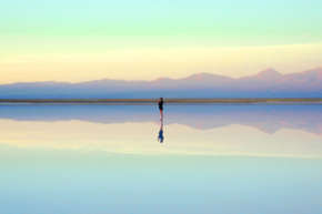 Limitless Living: How to Save the Planet Through Innovation, Not Living With Less