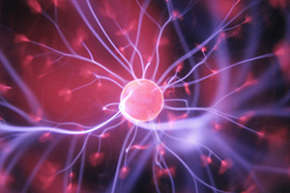 The Health Effects of EMFs: How to Protect Yourself From the Dangers of Electromagnetic Radiation