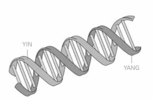 Figure 42 Double Helix