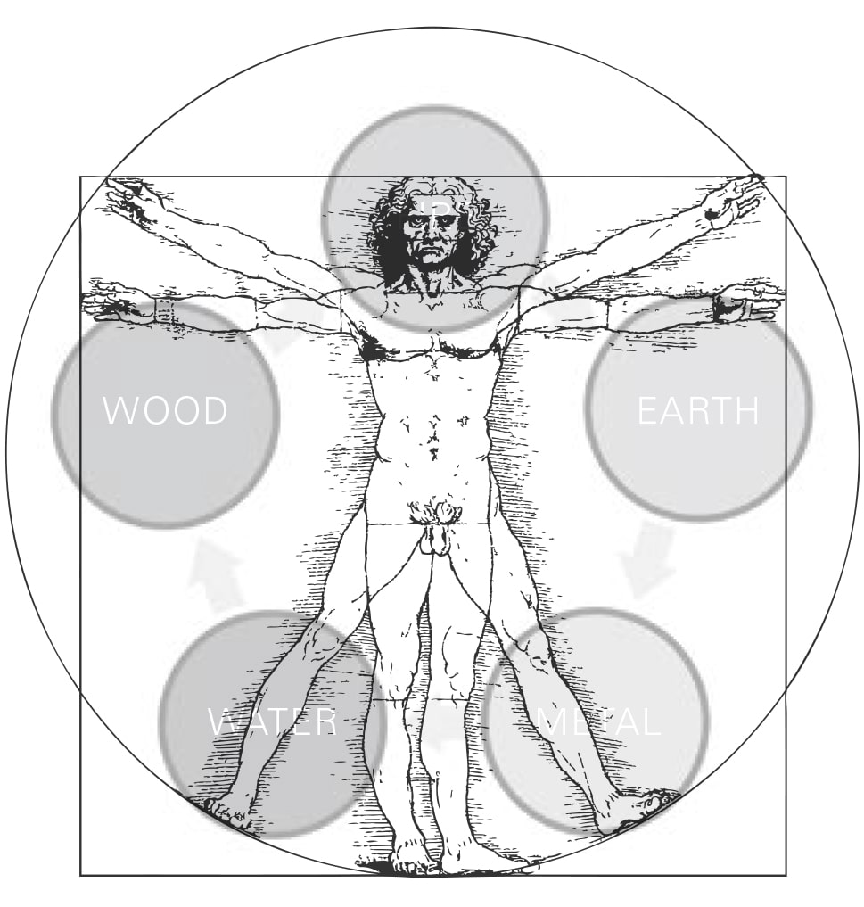 Figure 49 Five Elements Human Body