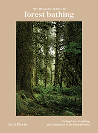 bosque-baño-julia-plevin-portada del libro