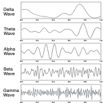 The 5 Types of Brain Waves: The Keys to Higher States of Consciousness